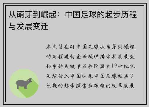 从萌芽到崛起：中国足球的起步历程与发展变迁
