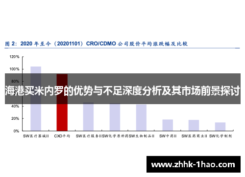 海港买米内罗的优势与不足深度分析及其市场前景探讨