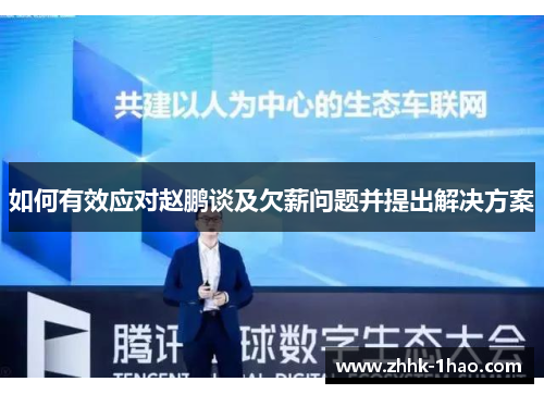如何有效应对赵鹏谈及欠薪问题并提出解决方案