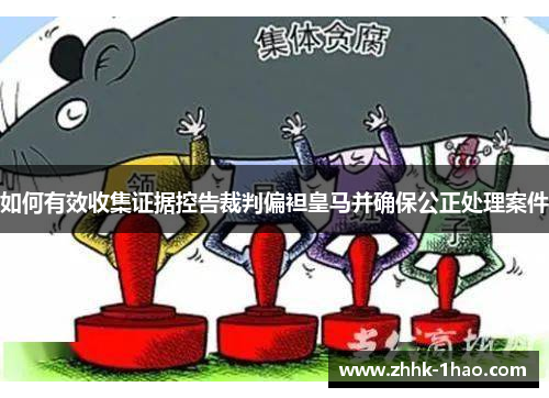如何有效收集证据控告裁判偏袒皇马并确保公正处理案件