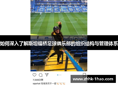 如何深入了解斯坦福桥足球俱乐部的组织结构与管理体系
